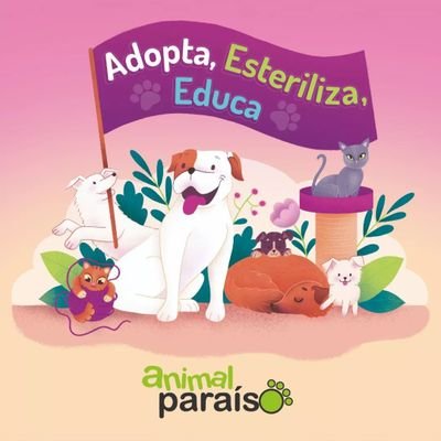 AnimalParaíso's profile picture