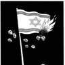 Фото профиля Gündoğdu