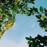 Фото профиля Hocine Ait mammar