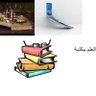 Фото профиля marwan .m