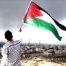 Profilbild von Mohammed kohee