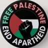 Klaus Stoertebecker 🇵🇸 的头像