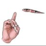 ahmed shahin's profile picture
