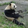 お好み焼きマニア profil fotoğrafı