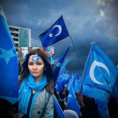 Rukiye Turdush's profile picture