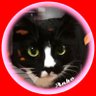 Profilbild von あんこのおうち