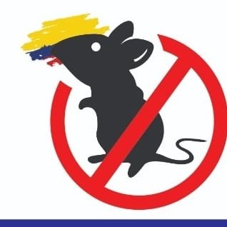 claudiorbotinah's profile picture