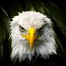 Dave's profile picture