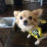 Yuki.com11's profile picture