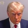 Mongol Trump's profile picture