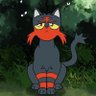 Nick The Litten (He/Him)🏳️🌈's profile picture