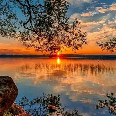 Minhkhan11991's profile picture