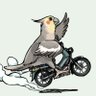 Profilbild von すな🐣オカメインコの里ポレリオ