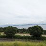 Фото профиля 櫻井彩帆