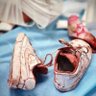 Фото профиля فلَسْـ𓂆ـطِين MARYAM
