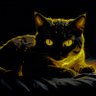 Profilbild von Call Me Cat ♉