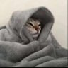 BGA's profile picture