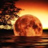 مكه المكرمه's profile picture