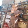 khan Alam's profile picture