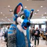Jean Cookie Wolfie 的头像