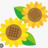 yuyu☆（ゆゆ）🌻💛🚀 的头像