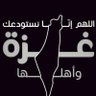 علي السيد's profile picture