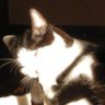 Minun Madrid profil fotoğrafı