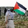 Фото профиля FREE PALISTINE 🇵🇸