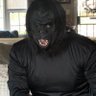 Jose flores's profile picture