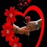 S A Raj's profile picture