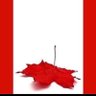 Фото профиля UPSETCANADIAN