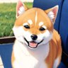 Profilbild von 柴犬ワン