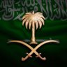 Profilbild von 🇸🇦majed