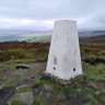 Trig Point profil fotoğrafı