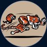 Lando's profile picture