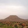 تطاوين الوطن (الجنوب)🇹🇳's profile picture