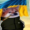 Profilbild von Markus 🇺🇦