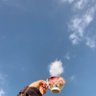 Asma profil fotoğrafı