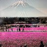 ヤス profil fotoğrafı