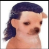 Aslan Desangles's profile picture