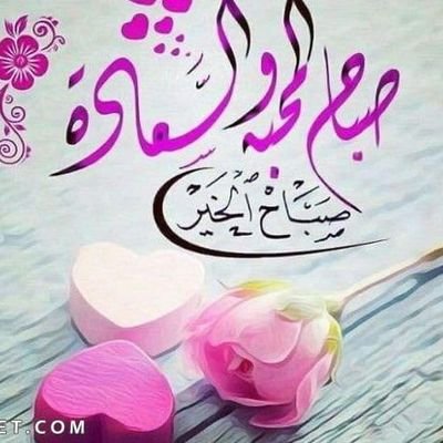 مطلقه's profile picture