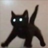 Nico profil fotoğrafı