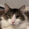 Profilbild von Drawk