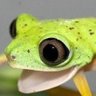 RandomFullbringer profil fotoğrafı