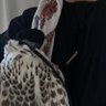 هداج's profile picture