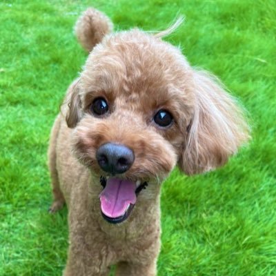 kainokaasan39's profile picture