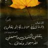 صــوفـان الـشـومـي's profile picture