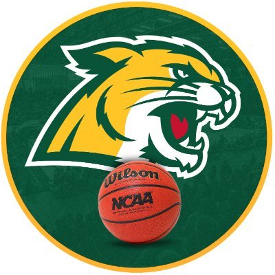 Northern Michigan Men's Basketball's profile picture