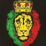 Ndamulelo Joshua Mulaudzi's profile picture