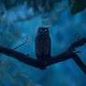 Фото профиля Daniel Goodman